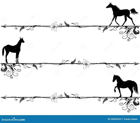 Horse Borders And Frames