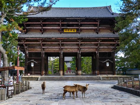 Japon : visiter Nara en un jour