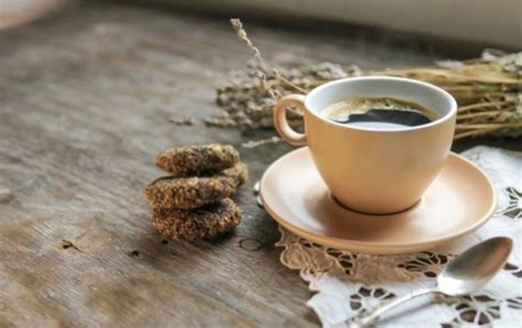 5 Best Chicory Coffee (Caffeine-Free) Substitutes to Consider