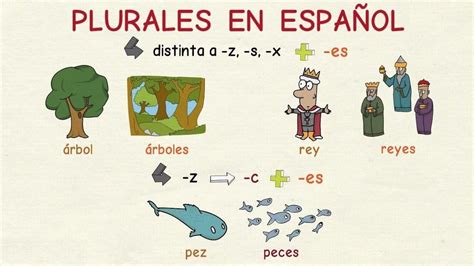 Los Plurales De Los Sustantivos Flashcards