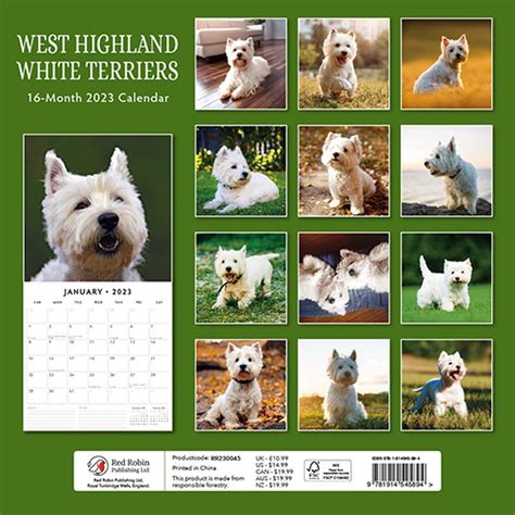 West Highland White Terrier Kalender Bol