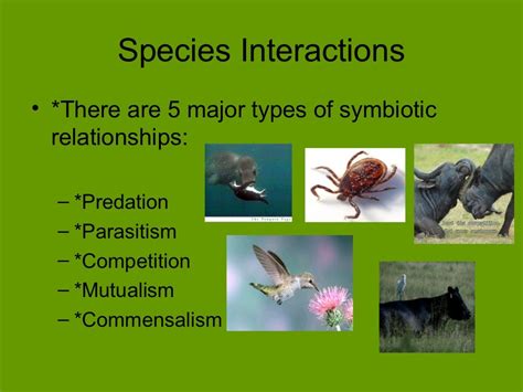 Ecology Symbiotic Relationships