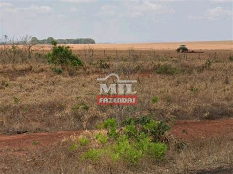 Mil Fazendas Fazenda Baba Ul Ndia Alqueires Hectares