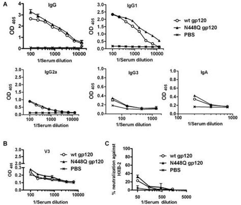 Ab Responses Induced In C57bl6 Mice Immunized With Wild Type Wt Or