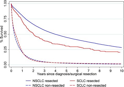 Small Cell Vs Large Cell Lung Cancer Survival Rates - CancerWalls