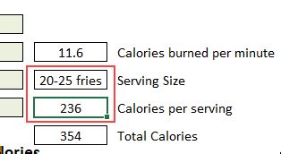 Excel Calorie Burn Calculator Food Activity Free Workbook