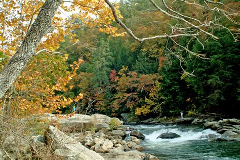 5 of the Best Hiking Trails in South Carolina - Upcountry South Carolina