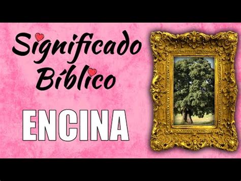 Encina significado bíblico Qué significa según la Biblia Definición