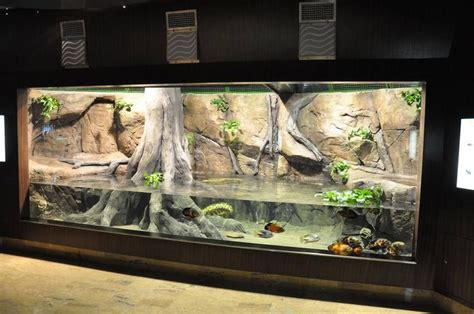 Timeline Photos Wabi Kusa Paludar Um Aquascaping Terrarium