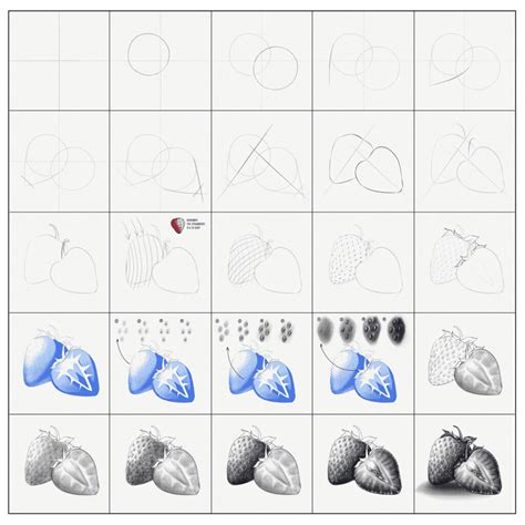 Comment dessiner une fraise un tutoriel étape par étape Artlex