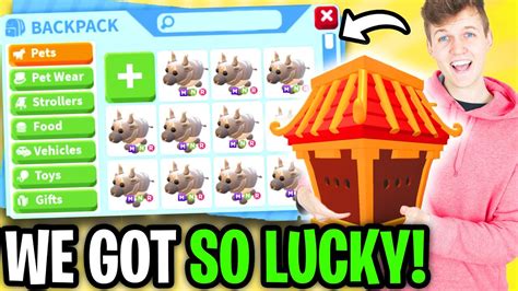 Lankybox Hatching 100 Ox Boxes In Adopt Me New Adopt Me Lunar New