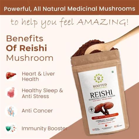 Rooted Active Natural Reishi Mushroom Ganoderma Extract Powder Uses