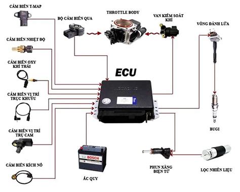 understanding  diagram   electronic control unit