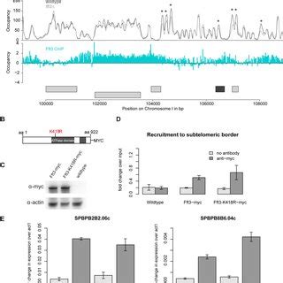 Fft Binds Ltr Elements At Subtelomeric Borders And Genome Wide