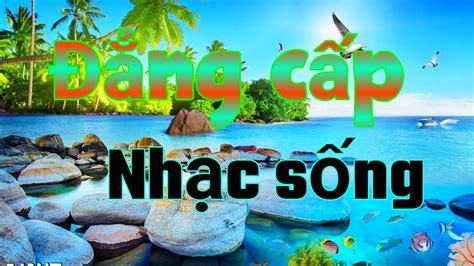 Lk Ðẳng cấp nhạc sống remix disco nhạc không lời liên khúc nhạc sống