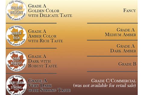 Maple Syrup Grades + Comparisons | Bakepedia Tips