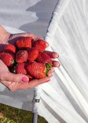 Міні теплиця 12 метрів | щільність 60 г/м² | теплиця з агроволокна ...