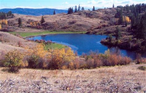 Tonasket Okanogan County Wa Farms And Ranches Hunting Property For