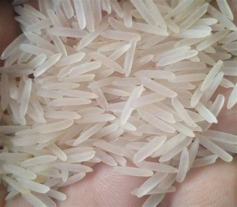 Indian Long Grain Pure 1121 White Sella Basmati Rice India Price