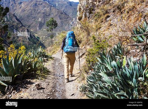 Hiking scene in Cordillera mountains, Peru Stock Photo - Alamy