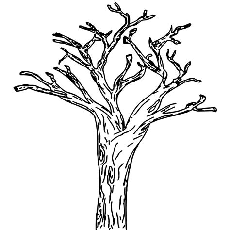 Dibujos De Tronco De Arbol Para Colorear Dibujos Online