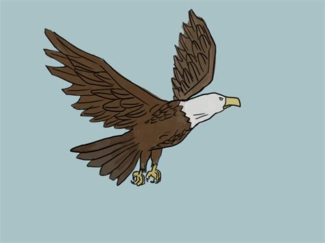 Flying Eagle Drawing at GetDrawings | Free download