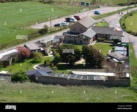 Brean Down Bird Garden, Burnham-on-Sea, Somerset, UK Stock Photo - Alamy