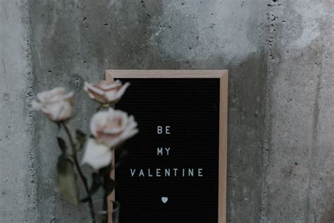 Download Cute Valentines Day White Roses Frame Wallpaper