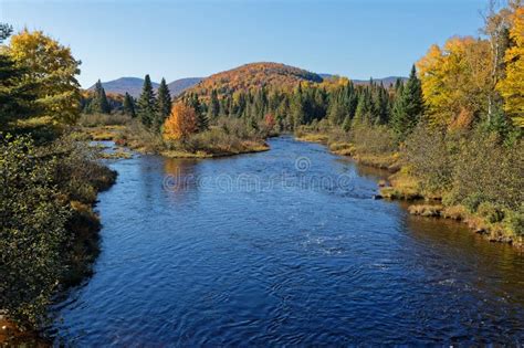 Riviere Du Diable In Its Fall Colors Mont Tremblant National Park