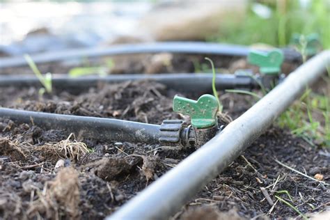 Drip Irrigation System