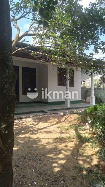 Super Single Story House For Sale Kottawa Ikman