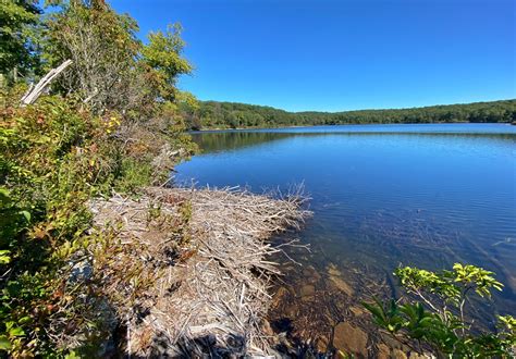 Sunfish Pond: A Brief History - Take a Hike!