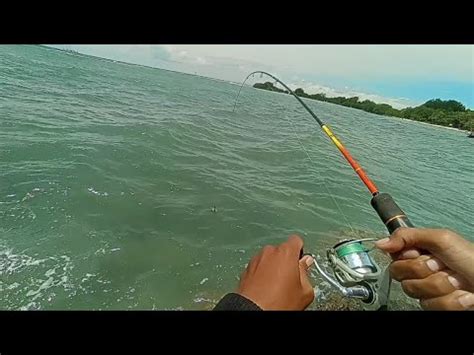 Ramai Sambaran Mancing Casting Di Pulau Lancang Kepulauan Seribu