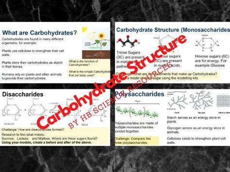 Carbohydrate Structure | Teaching Resources