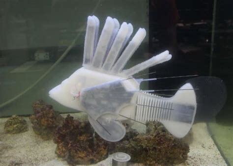 robotic fish powered    circulatory system geeky gadgets