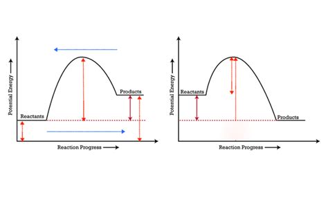 Potential energy diagrams Diagram | Quizlet