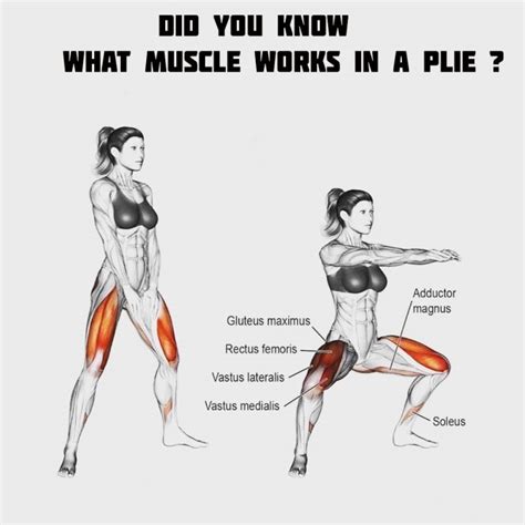 How To Do Plie Squats Technique And Features Of The Exercise