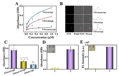 A Colorimetric Fluorescent Dual Mode Aptasensor For Salmonella Based On