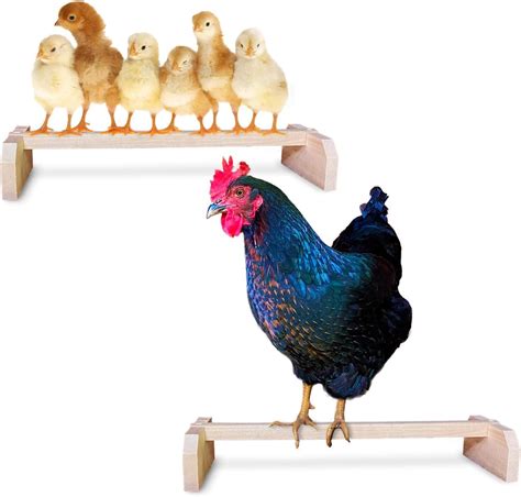 2 Pack Chicken Perch Strong Wooden Roosting Bar Made In Usa Solid Accessories And