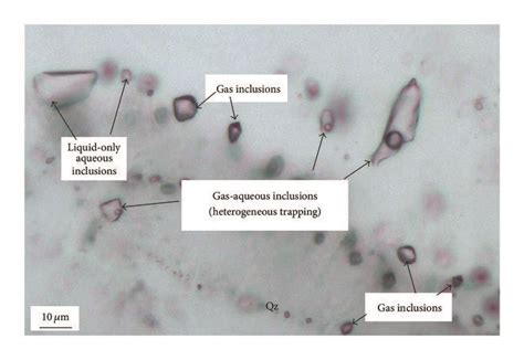 Photomicrographs Showing Fluid Inclusions Assemblages Fias Of The