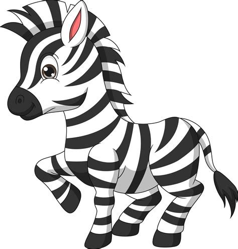 Desenho De Zebra Bonito Em Fundo Branco Vetor No Vecteezy