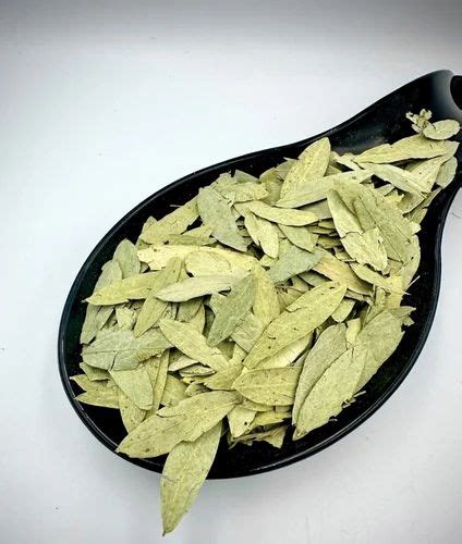 Green Wholes Dry Senna Leaves Packaging Type Loose Grade A Grade At