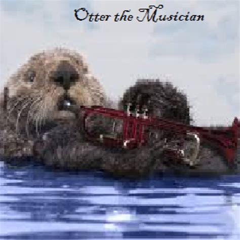 Stream Otter Musician Music Listen To Songs Albums Playlists For