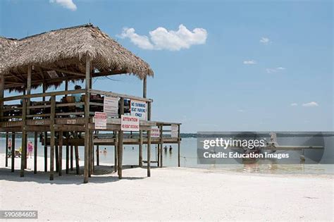 28 Lake Weir Florida Usa Stock Photos, High-Res Pictures, and Images ...