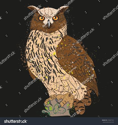 Vector Drawing Eared Owl On Black Stock Vector (Royalty Free) 253847161 ...