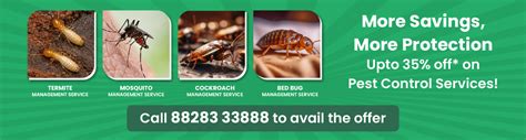 Top 5 Cockroach Control Mistakes And How To Avoid Them Hicare