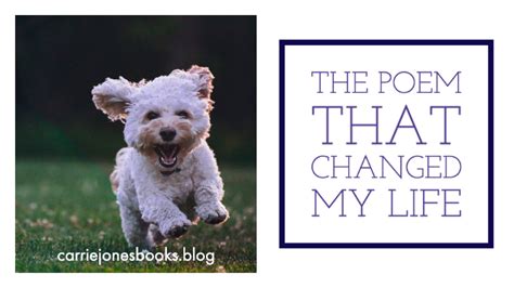 The Haiku That Changed My Life – Carrie Jones Books