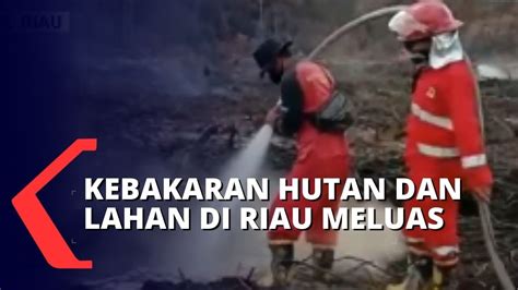 Kebakaran Hutan Dan Lahan Di Riau Kian Meluas Youtube