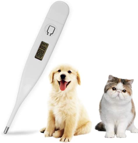 Veterinary Thermometer Digital Thermometer Dog Thermometers Animal