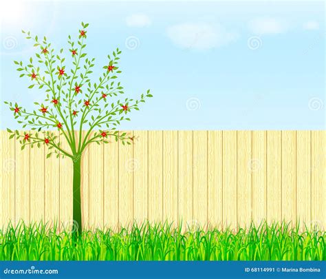 Backyard garden background stock vector. Illustration of graphic - 68114991